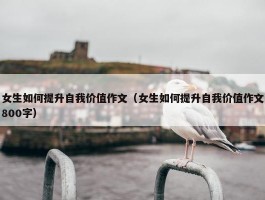 女生如何提升自我价值作文（女生如何提升自我价值作文800字）