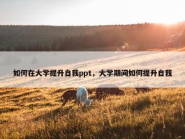 如何在大学提升自我ppt，大学期间如何提升自我