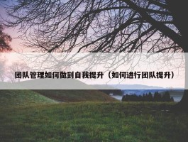 团队管理如何做到自我提升（如何进行团队提升）