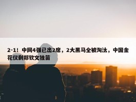 2-1！中网4强已出2席，2大黑马全被淘汰，中国金花仅剩郑钦文独苗