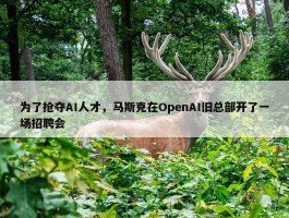 为了抢夺AI人才，马斯克在OpenAI旧总部开了一场招聘会