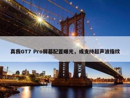 真我GT7 Pro屏幕配置曝光，或支持超声波指纹