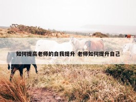 如何提高老师的自我提升 老师如何提升自己