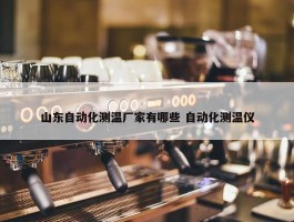 山东自动化测温厂家有哪些 自动化测温仪