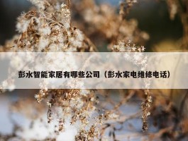 彭水智能家居有哪些公司（彭水家电维修电话）