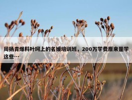 周扬青爆料叶珂上的名媛培训班，200万学费原来是学这些…