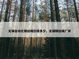 无锡自动化钢丝绳价格多少，无锡钢丝绳厂家