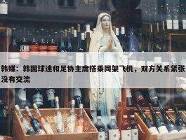 韩媒：韩国球迷和足协主席搭乘同架飞机，双方关系紧张没有交流