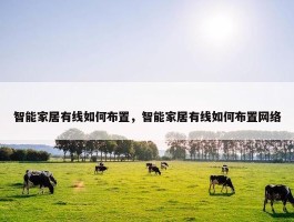 智能家居有线如何布置，智能家居有线如何布置网络