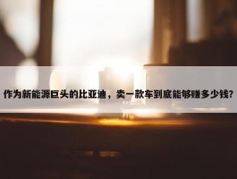 作为新能源巨头的比亚迪，卖一款车到底能够赚多少钱？