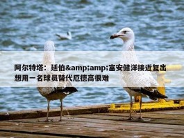 阿尔特塔：廷伯&amp;富安健洋接近复出 想用一名球员替代厄德高很难