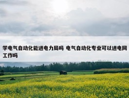 学电气自动化能进电力局吗 电气自动化专业可以进电网工作吗