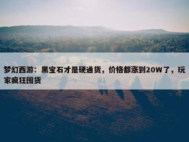 梦幻西游：黑宝石才是硬通货，价格都涨到20W了，玩家疯狂囤货