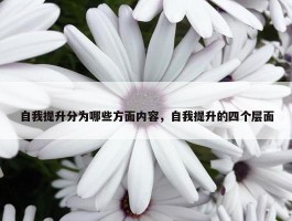 自我提升分为哪些方面内容，自我提升的四个层面