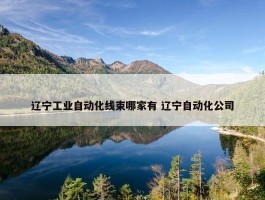 辽宁工业自动化线束哪家有 辽宁自动化公司