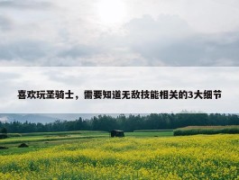 喜欢玩圣骑士，需要知道无敌技能相关的3大细节