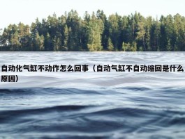 自动化气缸不动作怎么回事（自动气缸不自动缩回是什么原因）