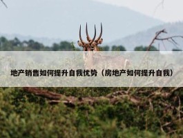 地产销售如何提升自我优势（房地产如何提升自我）