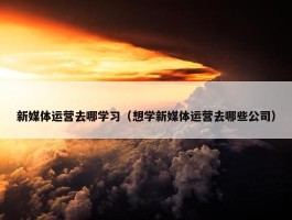 新媒体运营去哪学习（想学新媒体运营去哪些公司）