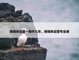 新媒体运营一般学几年，新媒体运营专业课