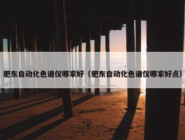 肥东自动化色谱仪哪家好（肥东自动化色谱仪哪家好点）