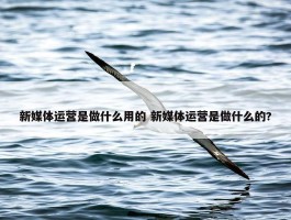 新媒体运营是做什么用的 新媒体运营是做什么的?