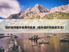 组织如何提升自我效能感（提升组织效能的方法）