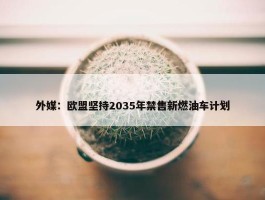 外媒：欧盟坚持2035年禁售新燃油车计划