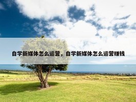 自学新媒体怎么运营，自学新媒体怎么运营赚钱