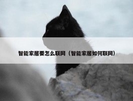 智能家居要怎么联网（智能家居如何联网）