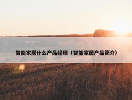 智能家居什么产品经理（智能家居产品简介）