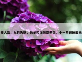 非人哉：九月失眠，数羊和洋葱都无效，十一月被迫醒来