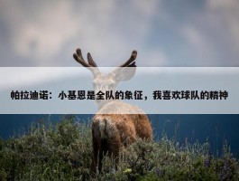 帕拉迪诺：小基恩是全队的象征，我喜欢球队的精神