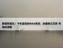 都是熟面孔！今年退役的NBA球员：白魔兽已沉寂 玫瑰终凋零