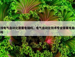 技电气自动化需要电脑吗，电气自动化技术专业需要电脑吗