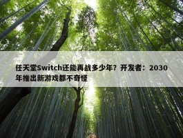 任天堂Switch还能再战多少年？开发者：2030年推出新游戏都不奇怪