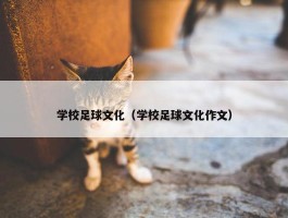 学校足球文化（学校足球文化作文）