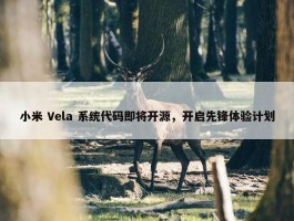 小米 Vela 系统代码即将开源，开启先锋体验计划