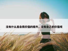 没有什么是自我价值的提升，没有自己的价值观