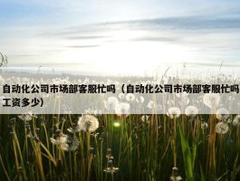 自动化公司市场部客服忙吗（自动化公司市场部客服忙吗工资多少）