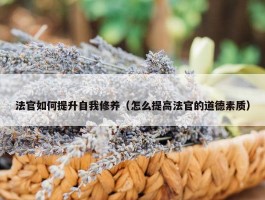 法官如何提升自我修养（怎么提高法官的道德素质）