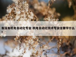 有没有机电自动化专业 机电自动化技术专业主要学什么?