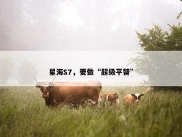 星海S7，要做“超级平替”