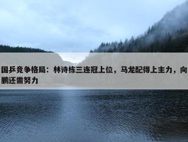 国乒竞争格局：林诗栋三连冠上位，马龙配得上主力，向鹏还需努力