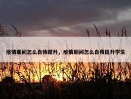 疫情期间怎么自我提升，疫情期间怎么自我提升学生