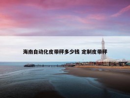 海南自动化皮带秤多少钱 定制皮带秤