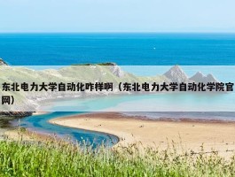 东北电力大学自动化咋样啊（东北电力大学自动化学院官网）