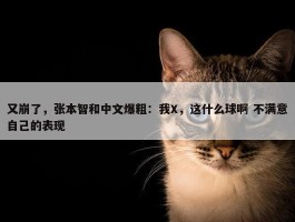 又崩了，张本智和中文爆粗：我X，这什么球啊 不满意自己的表现