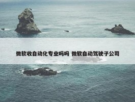 微软收自动化专业吗吗 微软自动驾驶子公司