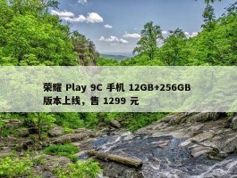 荣耀 Play 9C 手机 12GB+256GB 版本上线，售 1299 元